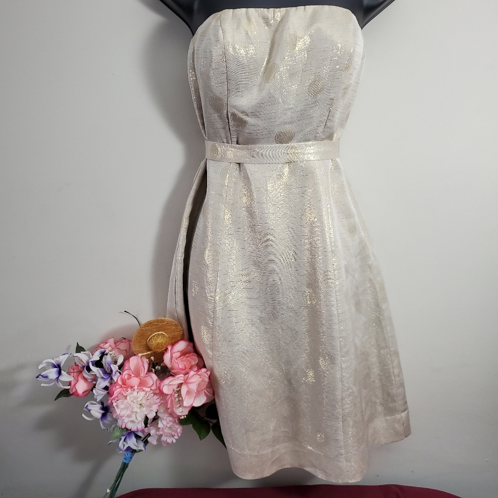 The Limited Strapless Dress